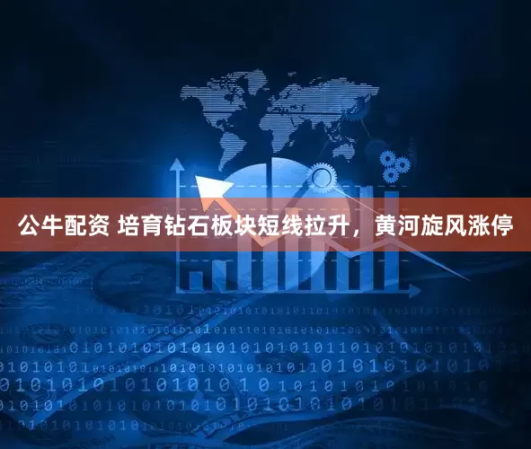 公牛配资 培育钻石板块短线拉升，黄河旋风涨停