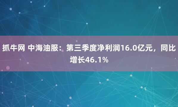 抓牛网 中海油服：第三季度净利润16.0亿元，同比增长46.1%