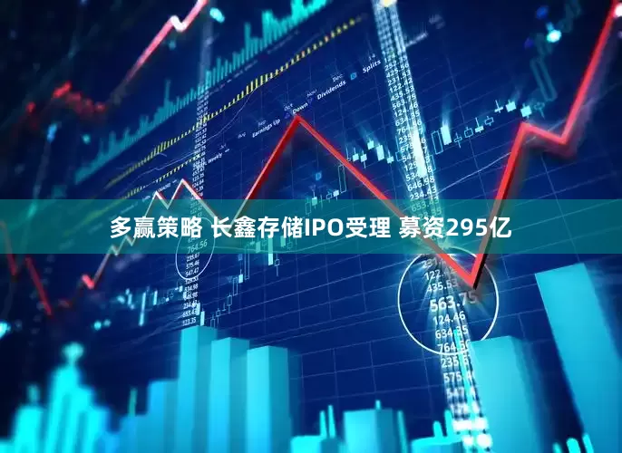 多赢策略 长鑫存储IPO受理 募资295亿